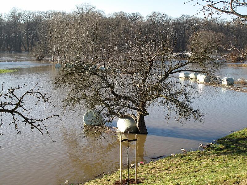 2011-01-17, Hochwasser (17).JPG